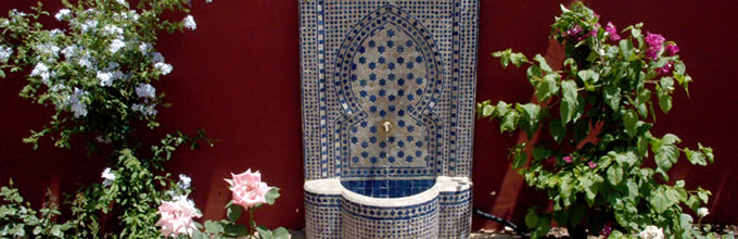 Andalucia Uno garden